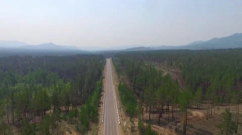 Aerial View Road In The Coniferous Forest On Lake Stock Footage
