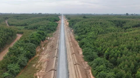 Aerial View Road Construction Forest Plantation 4K Stock Footage 339459199