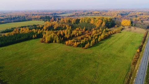 Aerial view of road crossing between agricultural land and village, Estonia. Video stock 101571030