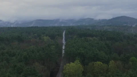 Aerial view of a road cutting through the New Hampshire wilderness Stock Footage 308487700