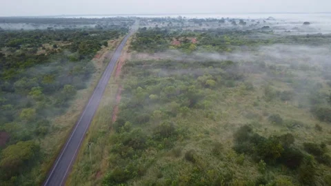 Aerial view of a road cutting through a misty landscape with green vegetation Stock Footage 317999330