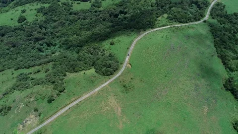 Aerial view of road cutting through lush green landscape showing scenic tra.. Stock Footage 334220868