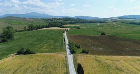 Aerial view of road, cypress tree on the road side. In background agricultural 動画素材 170826257