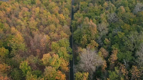 Aerial view of a road driving through the forest, Manali, india. Stock Footage 159404717