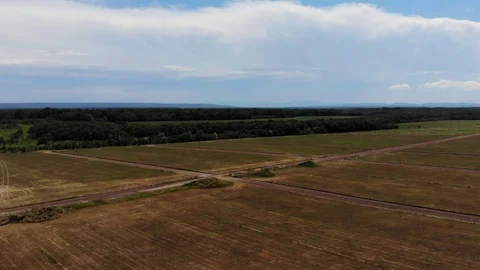 Aerial view of the road in field. Stock Footage 125210543