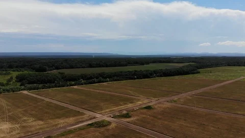 Aerial view of the road in field. Stock Footage 125210578