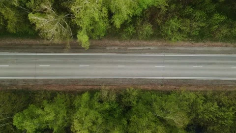 Aerial view of a road flanked by lush green trees Stock Footage 331619720