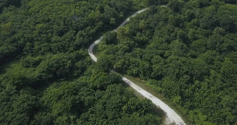 Aerial view of road in the forest Stock Footage 128643401