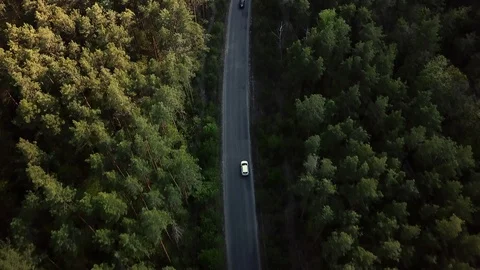 Aerial view road going through forest, Road through the green forest, Aerial top Stock Footage 129608311