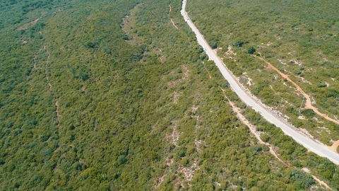 Aerial View on the Road on Hillside Stock Footage 77735915