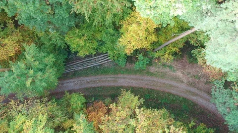 Aerial view of a road in the middle of the forest, zooming out Stock Footage 97202448