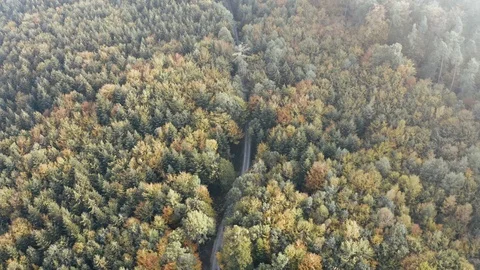 Aerial view of a road in the middle of the forest, flying above Stock Footage 97204563