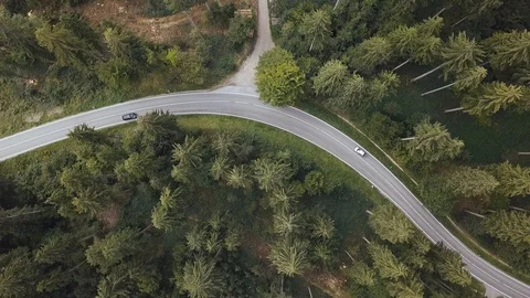Aerial view of a road in the middle of the forest, cars drive by Stock Footage 97211677