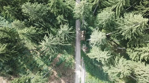 Aerial view of a road in the middle of the forest, flying over Stock Footage 97214514