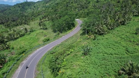 Aerial view of the road in the middle of the forest Stock Footage 262293440