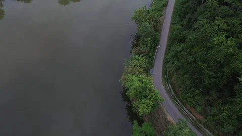 Aerial View of Road in the Middle of the Forest and Lake Stock-Footage 265378549