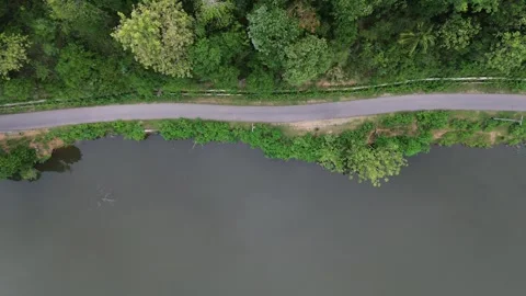 Aerial View of Road in the Middle of the Forest and Lake Stock-Footage 265381569