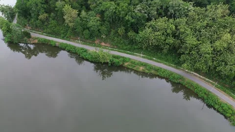 Aerial View of Road in the Middle of the Forest and Lake Stock-Footage 265382885