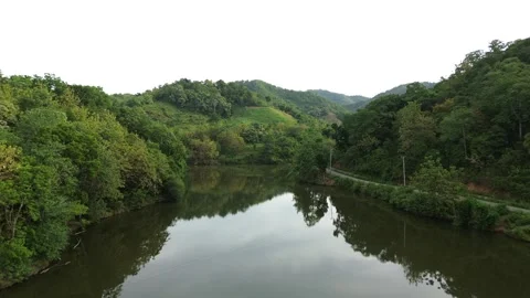 Aerial View of Road in the Middle of the Forest and Lake Stock-Footage 265383896
