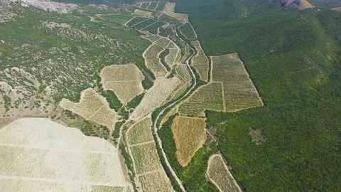 Aerial view of road in mountains Stock Footage 80989024