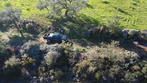 Aerial view of off road pickup with sacks in rural farmland and forest Stock-Footage 337458877