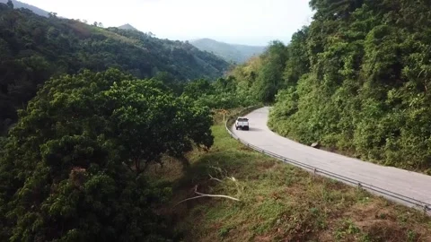 Aerial view of a road running through the palm grove of Koh Phangan Island Stock Footage 141320681