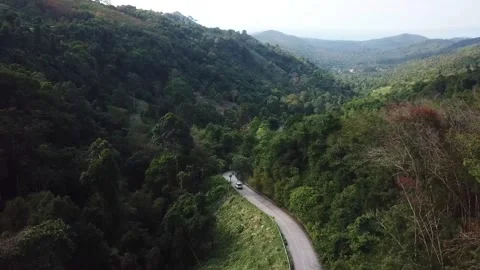 Aerial view of a road running through the palm grove of Koh Samui Island Stock Footage 141320703