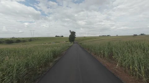 Aerial View of Road Running Through Agricultural Fields Stock Footage 309939639