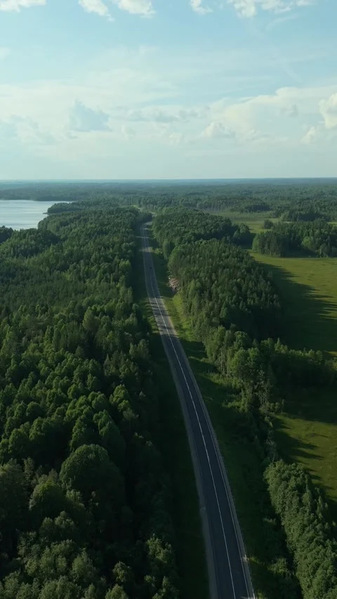 Aerial view of a road running through a forest in Western Europe. A roadway with Video stock 317234813