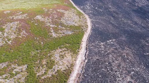 Aerial view of road separating burnt and green land The Concept of Contrast 스톡 동영상 322897907