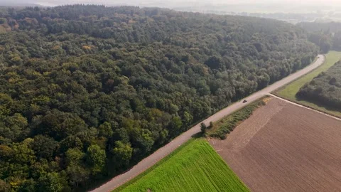Aerial view of a road separating a dense forest from agricultural fields Stock Footage 320813268