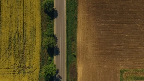 Aerial view of the road in the spring field Stock Footage 89383880