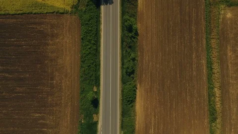 Aerial view of the road in the spring field Stock Footage 89384102
