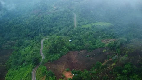 Aerial view of a road surrounded by forest on a foggy morning in the rainy seaso Stock Footage 311966050