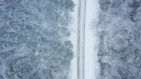 Aerial view of a road surrounded by winter forest in snowfall Stock Footage 148327316
