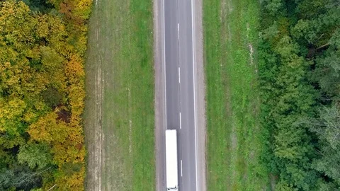 Aerial view of the road through fall forest Stock Footage 81370402