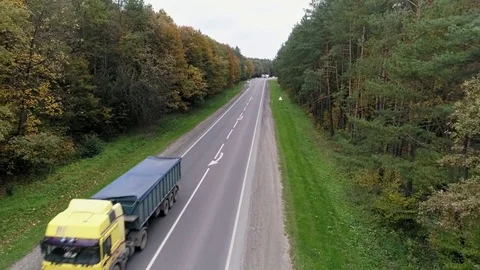 Aerial view of the road through fall forest Stock Footage 81393804