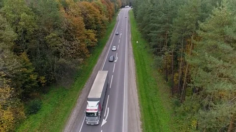 Aerial view of the road through fall forest Stock Footage 81393828