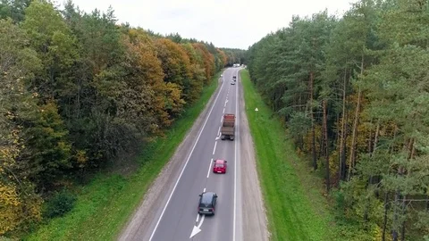 Aerial view of the road through fall forest Stock Footage 81393869