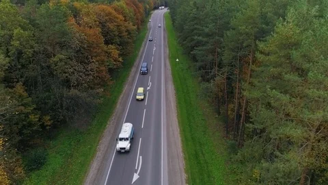 Aerial view of the road through fall forest Stock Footage 81394992