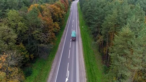 Aerial view of the road through fall forest Stock Footage 81395014