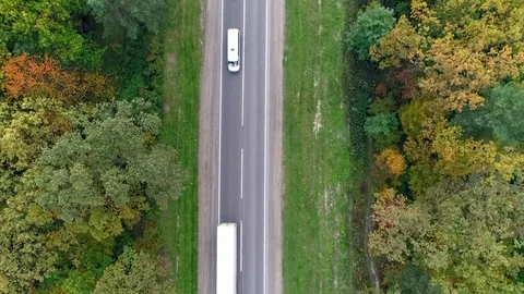 Aerial view of the road through fall forest Stock Footage 81395026