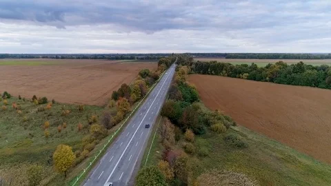 Aerial view of the road through fall forest Stock Footage 81395092
