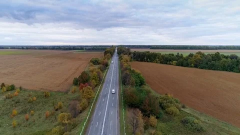 Aerial view of the road through fall forest Stock Footage 81396102