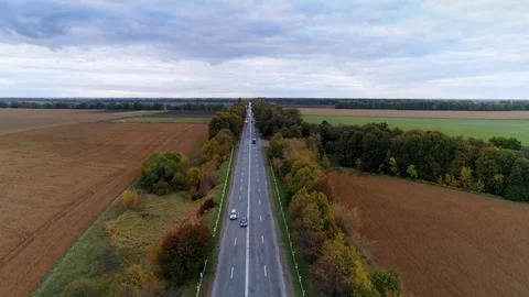 Aerial view of the road through fall forest Stock Footage 81396303