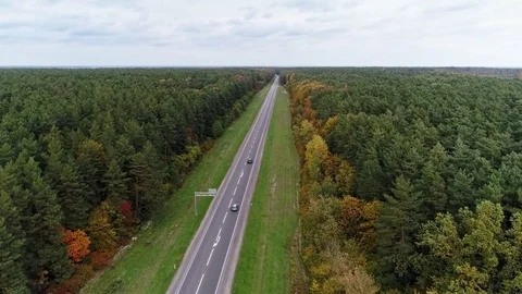 Aerial view of the road through fall forest Stock Footage 81397326
