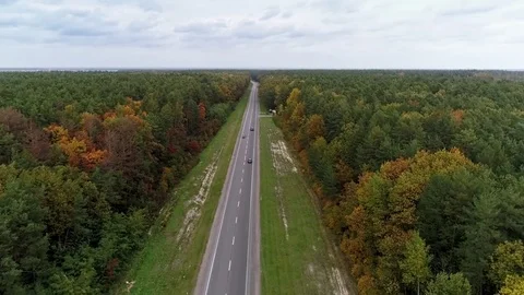 Aerial view of the road through fall forest Stock Footage 81397584