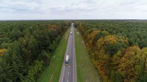 Aerial view of the road through fall forest Stock Footage 81397934
