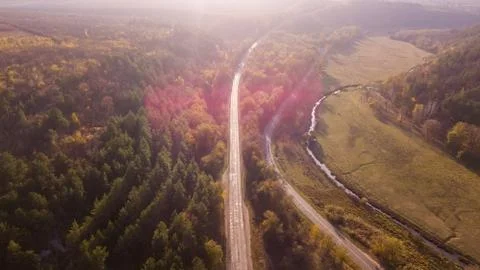 Aerial view of the road through fall forest Stock Photos