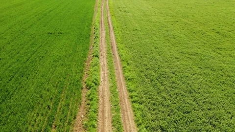 Aerial view of road through field 스톡 동영상 106925534